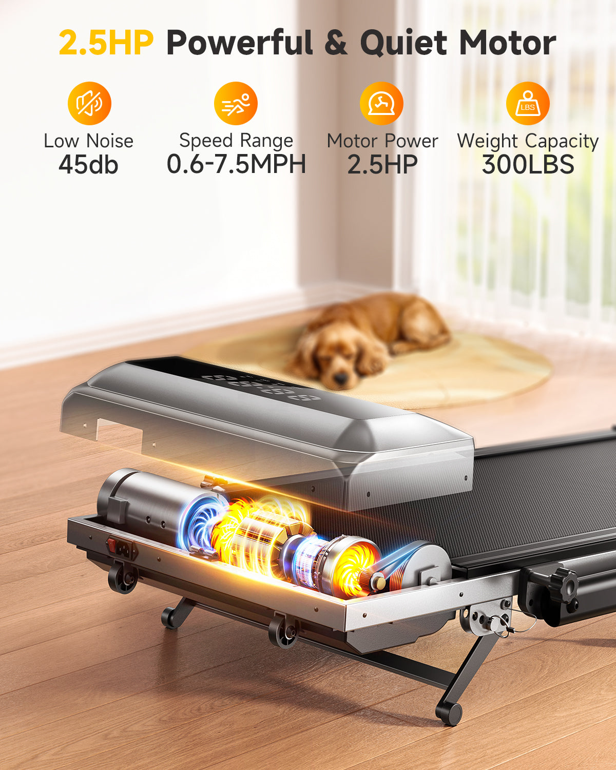 TP6 treadmill's 2.5 HP motor ensures reliable, quiet performance, supporting up to 300 lbs safely. 