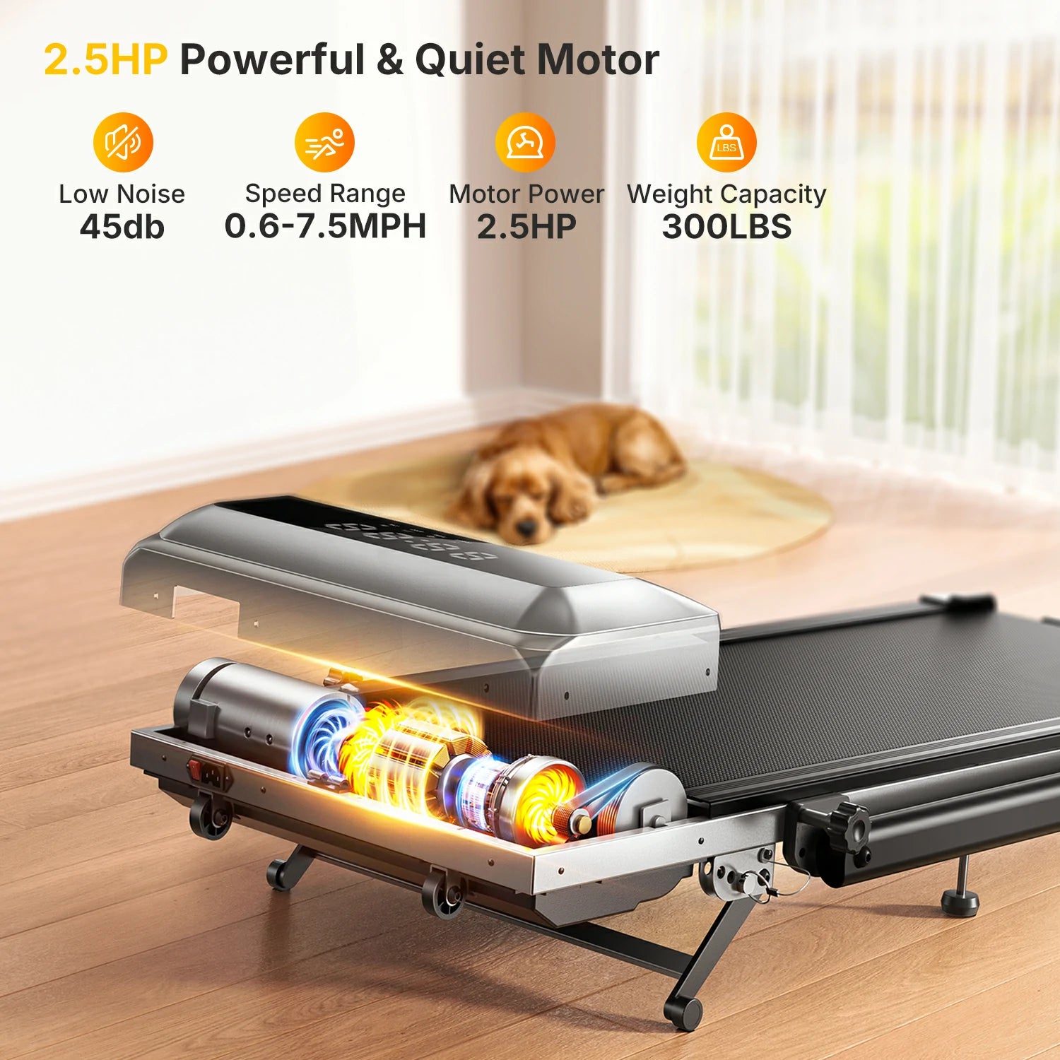 TP6 treadmill's 2.5 HP motor ensures reliable, quiet performance, supporting up to 300 lbs safely. 