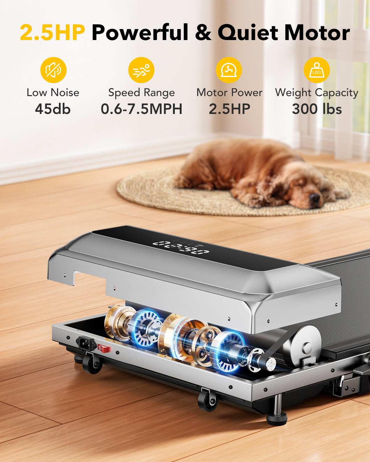 A 2.5HP motor delivers strong performance on TP2 treadmill, while its quiet operation allows a dog to sleep peacefully nearby.