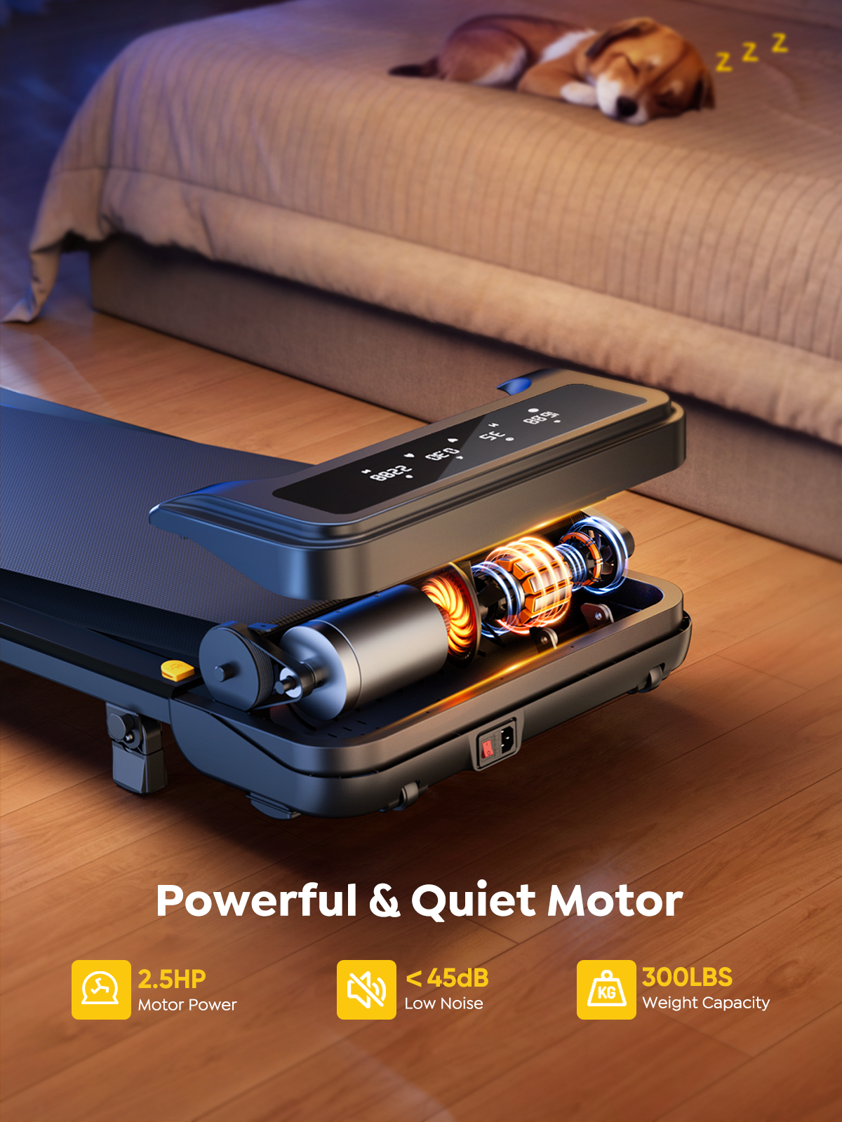 Even at full power, the 2.5HP Toputure treadmill maintains quiet operation, allowing a pet to nap peacefully just feet away.